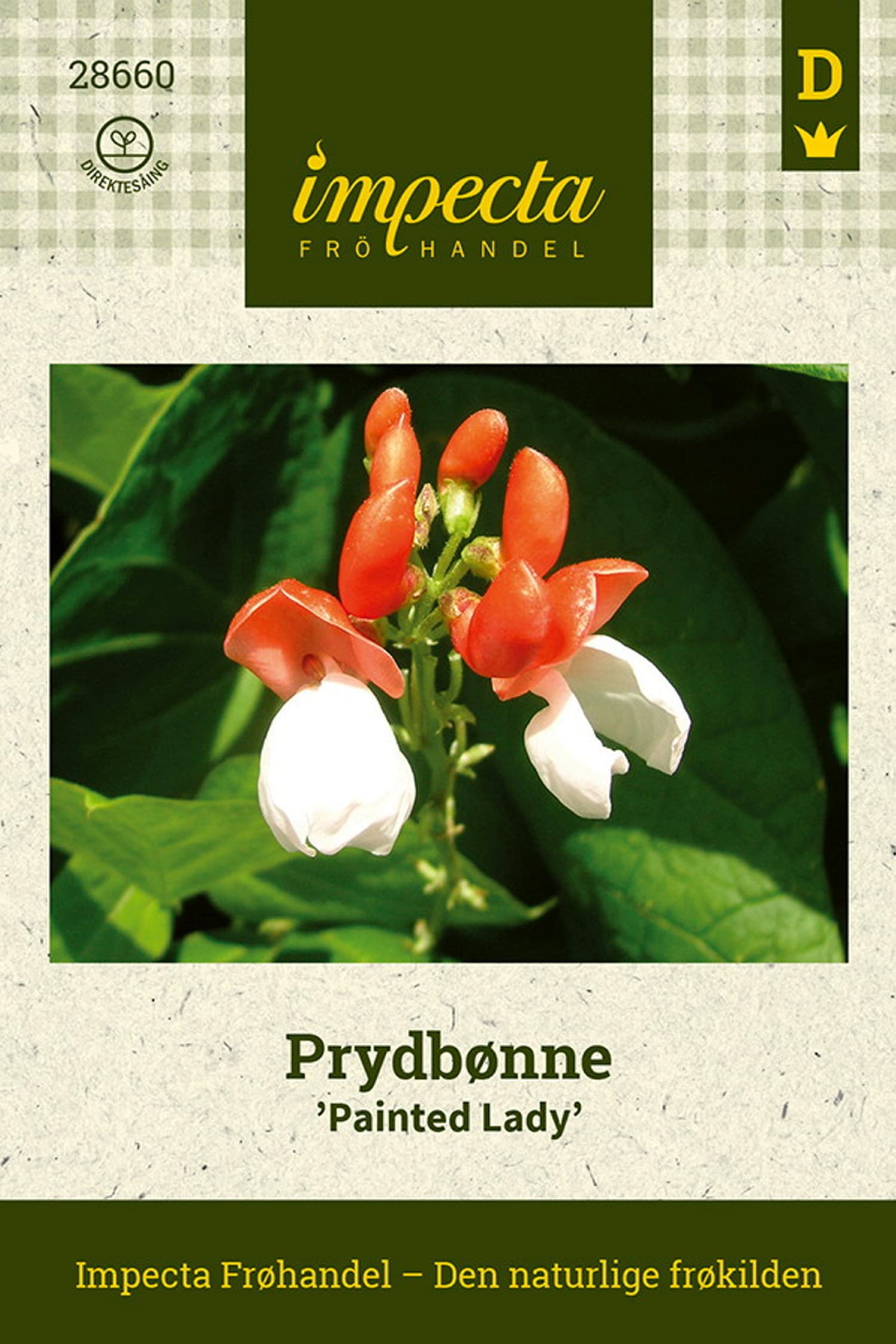 Prydbønne 'Painted Lady'