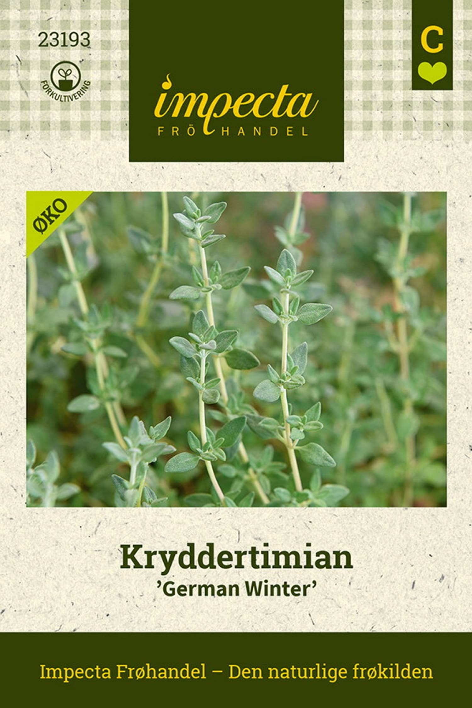 Kryddertimian 'German Winter'