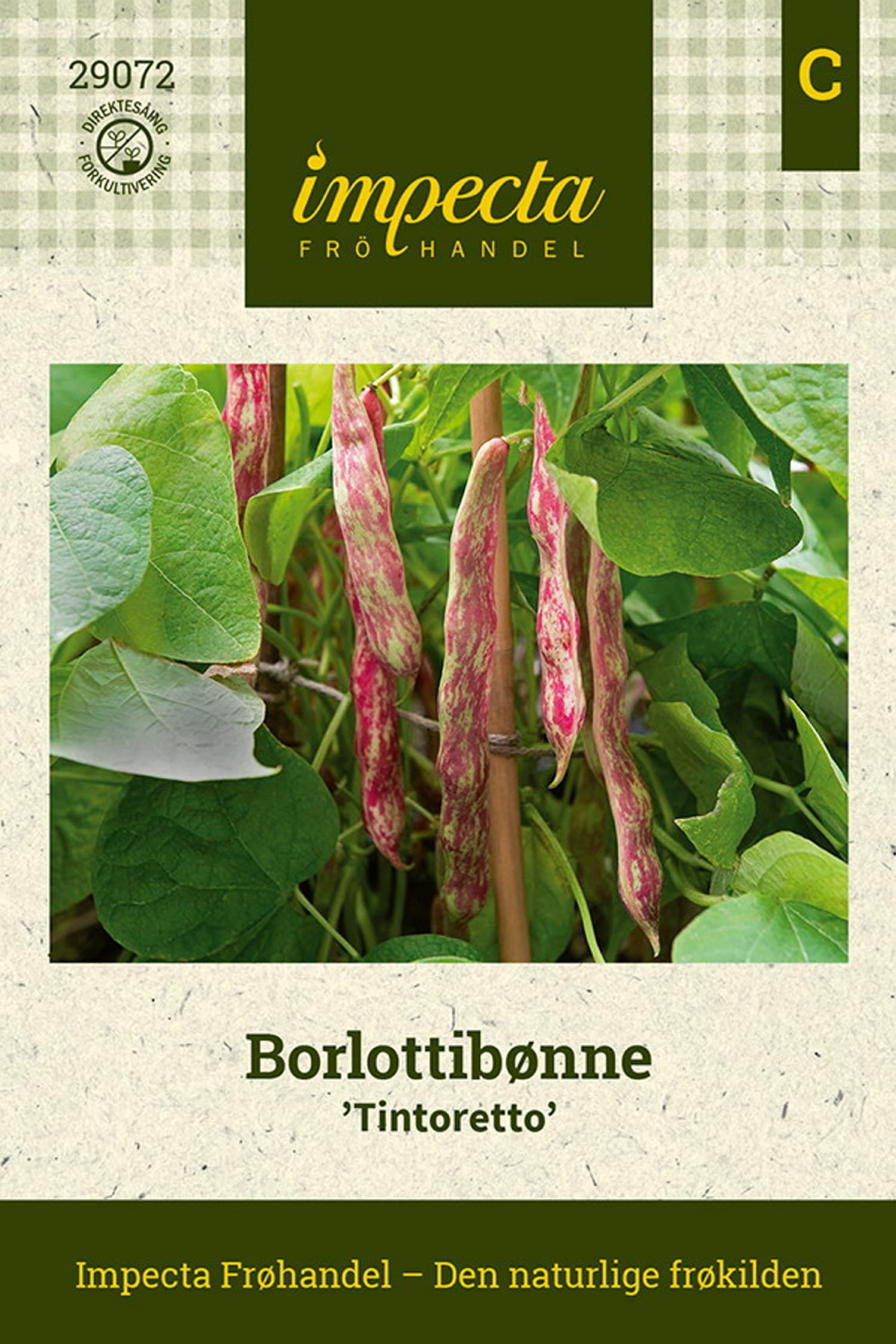 Borlottibønne 'Tintoretto'