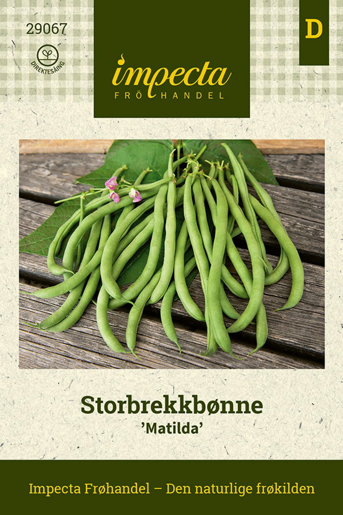Storbrekkbønne 'Matilda'