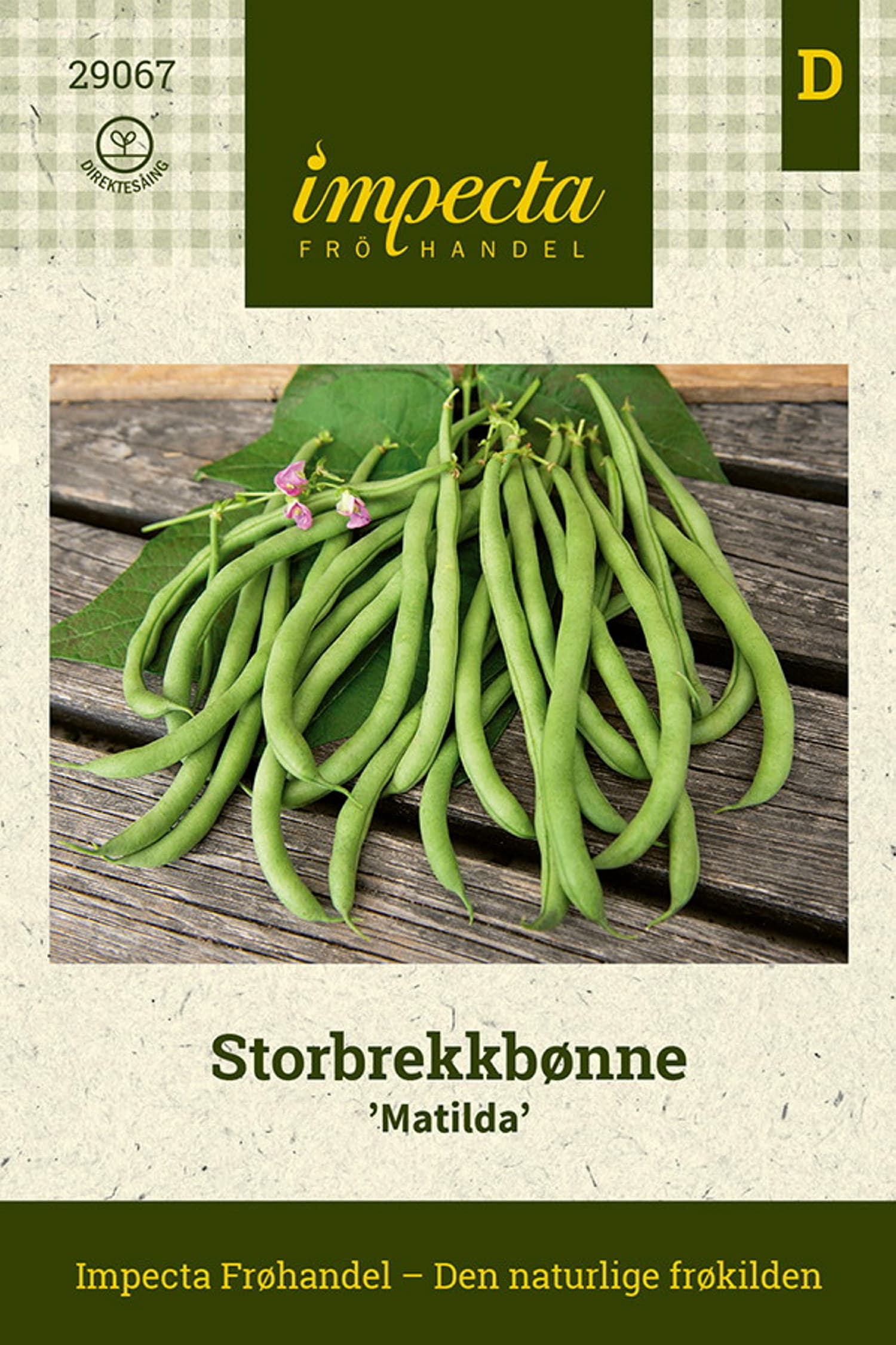 Storbrekkbønne 'Matilda'