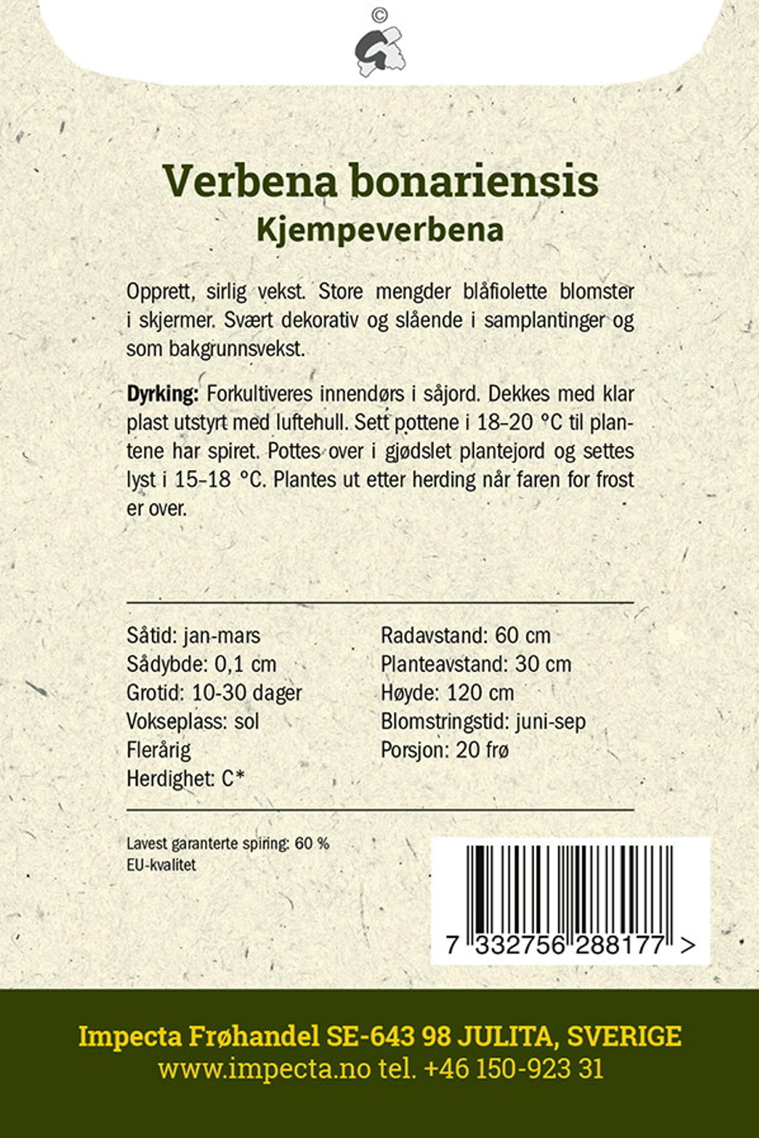 Kjempeverbena