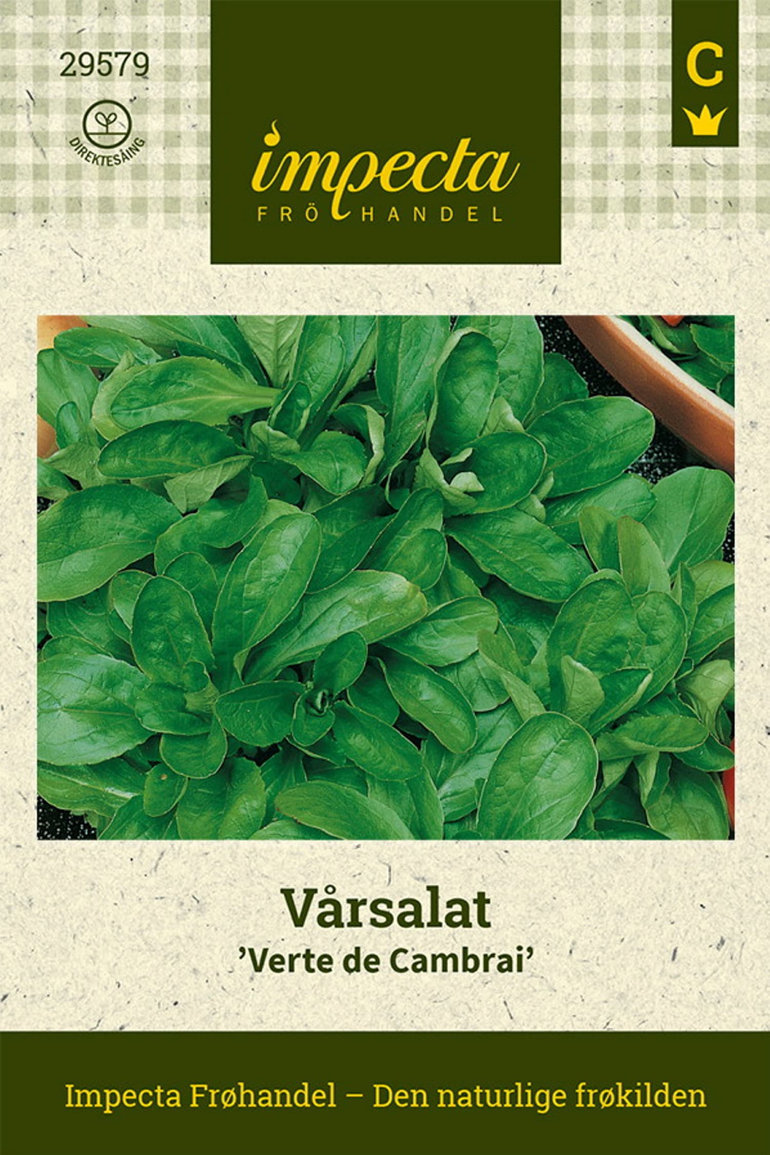 Vårsalat 'Verte de Cambrai'