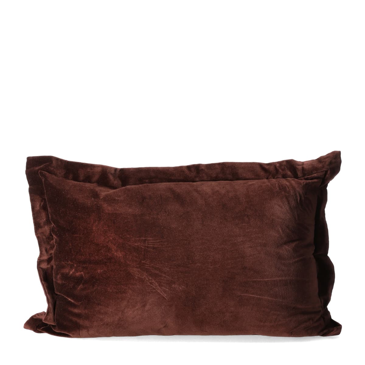 Pute Marron