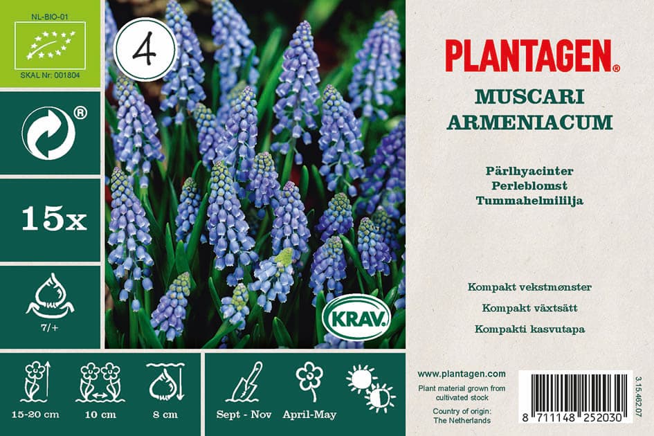 Perleblomst miks ØKO