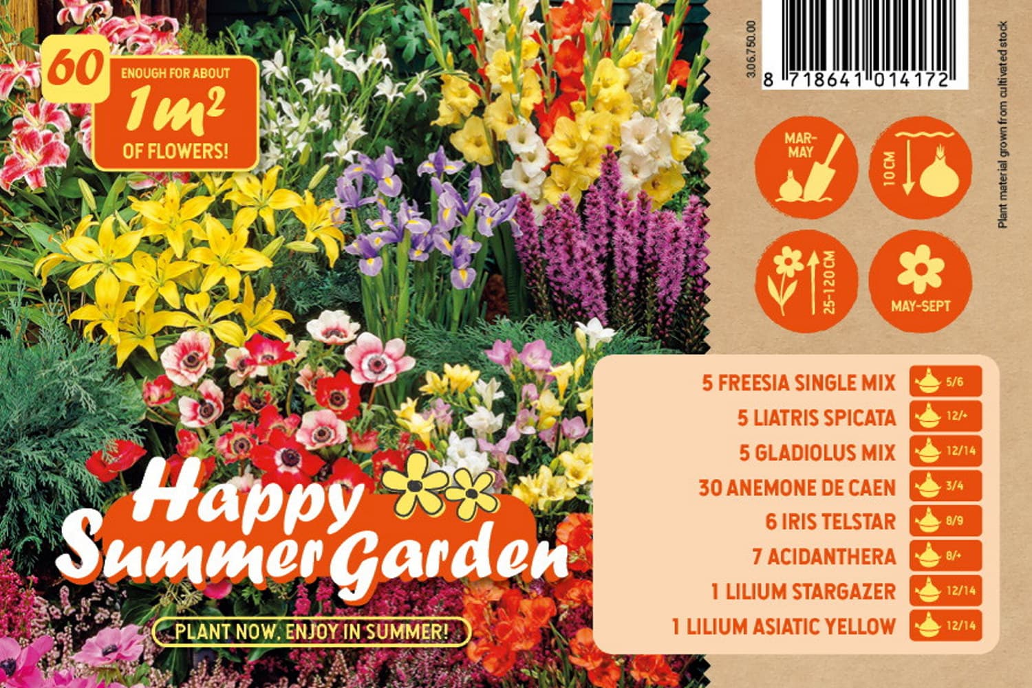 Blomsterknoller miks Happy Summer Garden