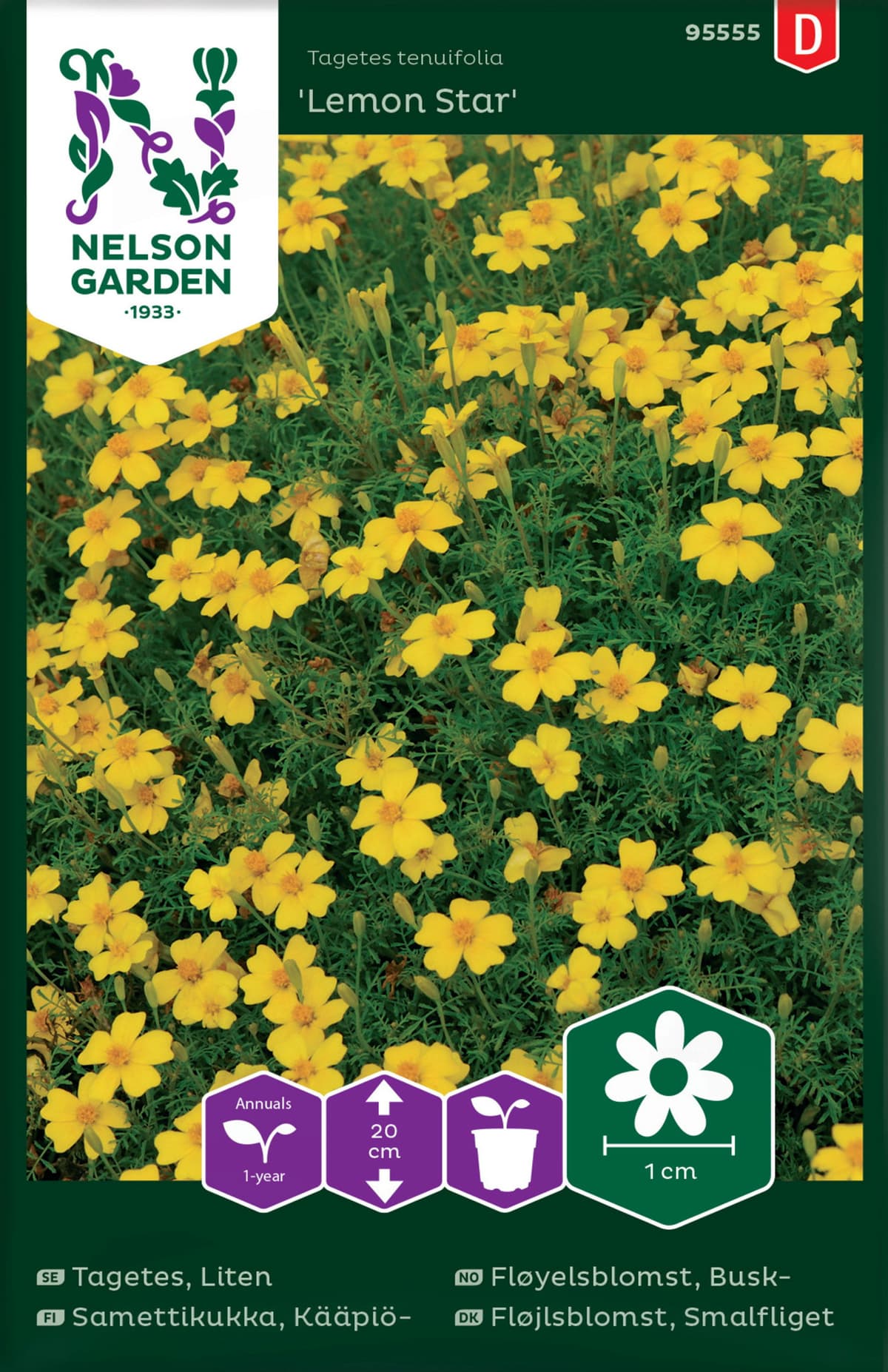 Fløyelsblomst, Busk-, Lemon Star