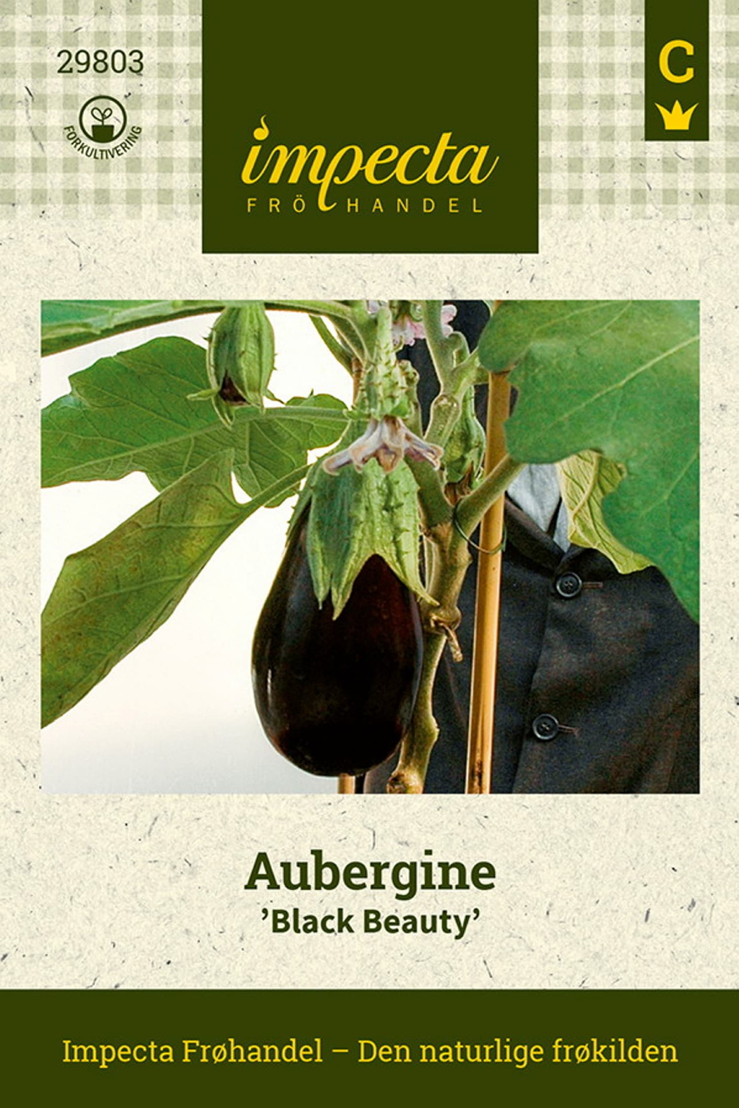 Aubergine 'Black Beauty'