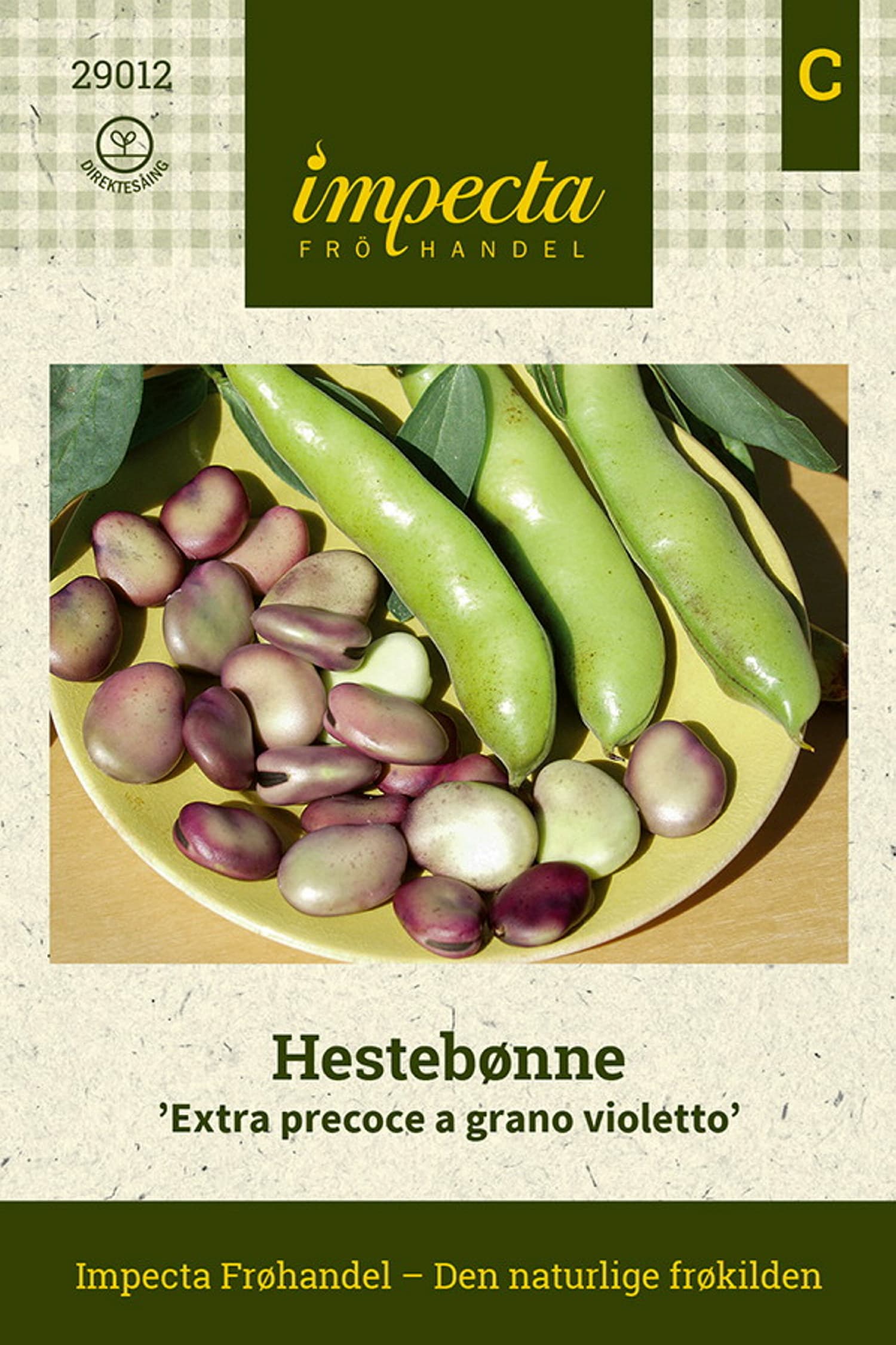 Hestebønne 'Extra precoce a grano violetto'