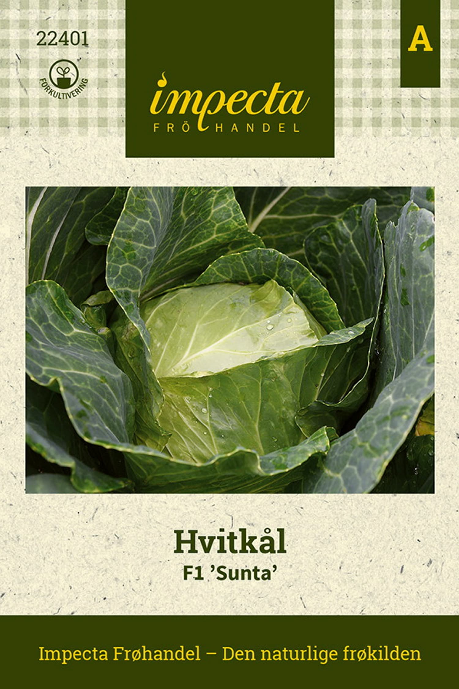 Hvitkål F1 'Sunta'