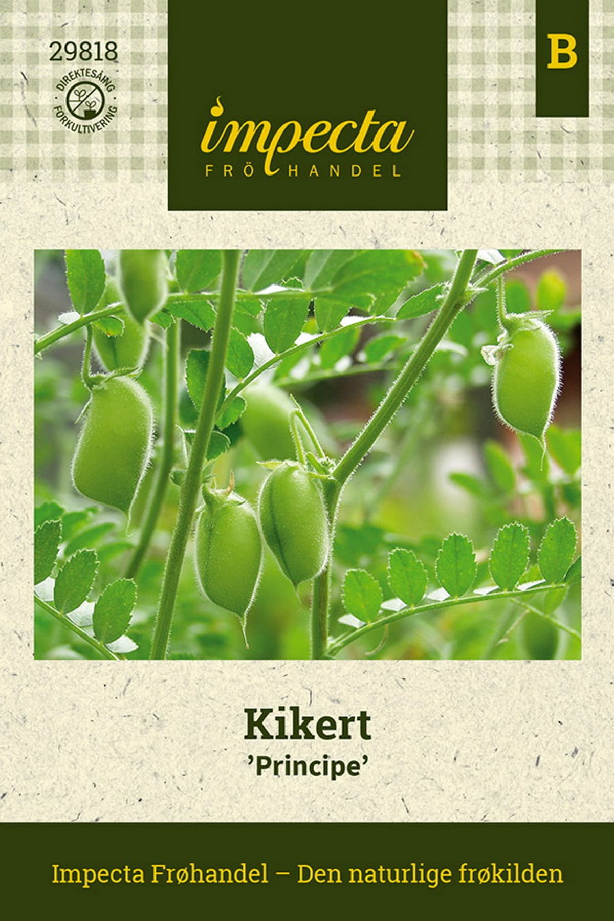 Kikert 'Principe'