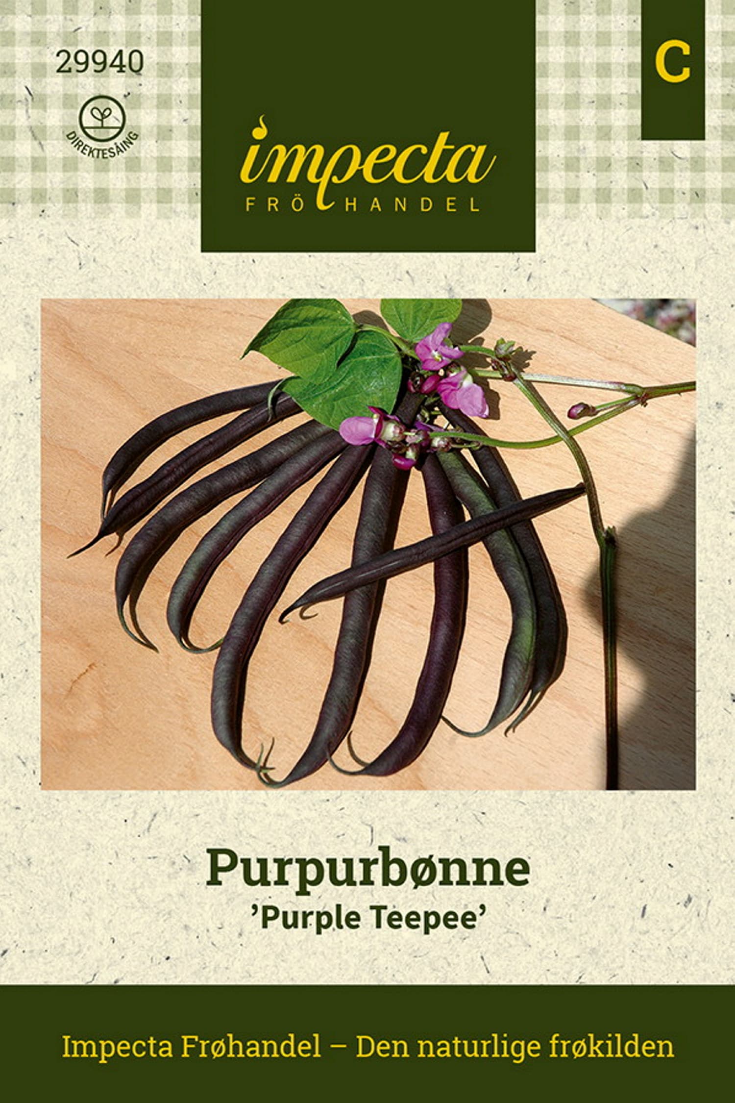 Purpurbønne 'Purple Teepee'