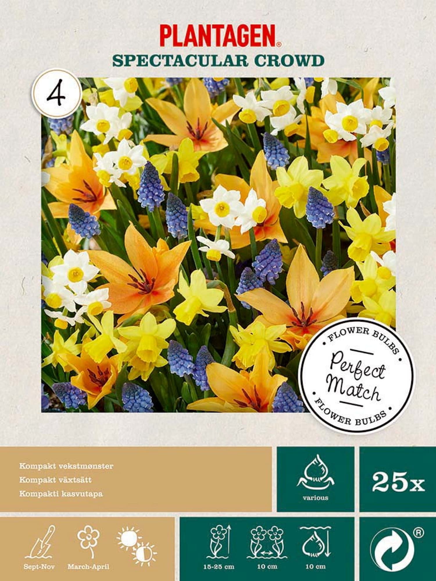 Blomsterløk mix Spectacular Crowd