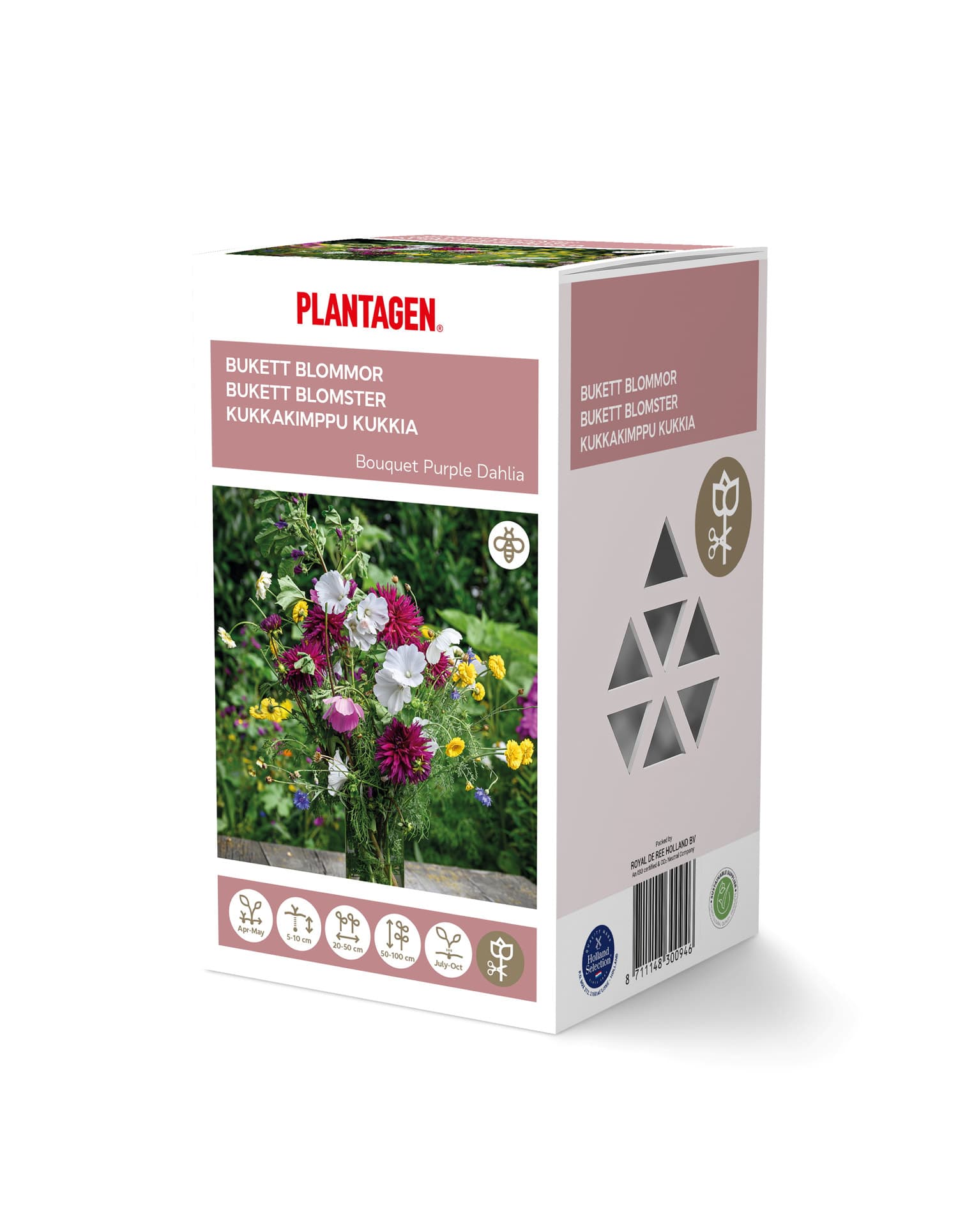 Bukettmiks georgine lilla