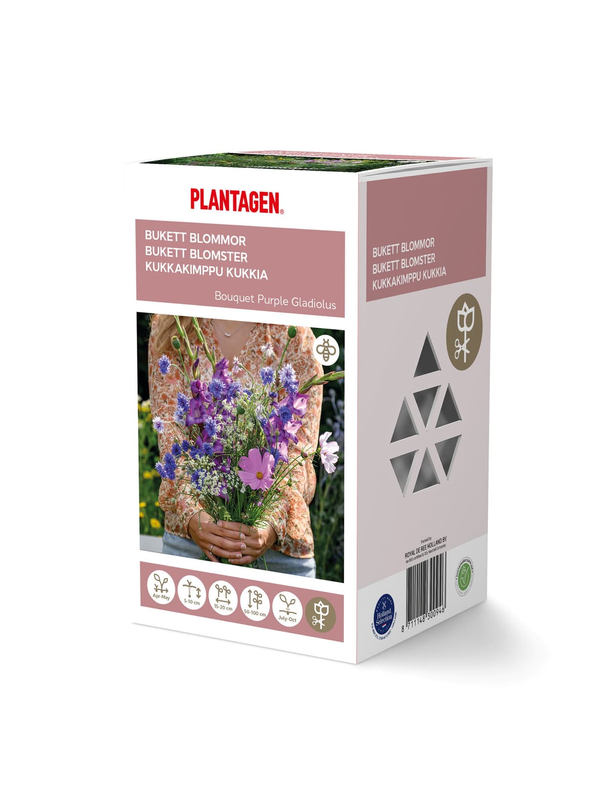 Bukettmiks gladiol lilla