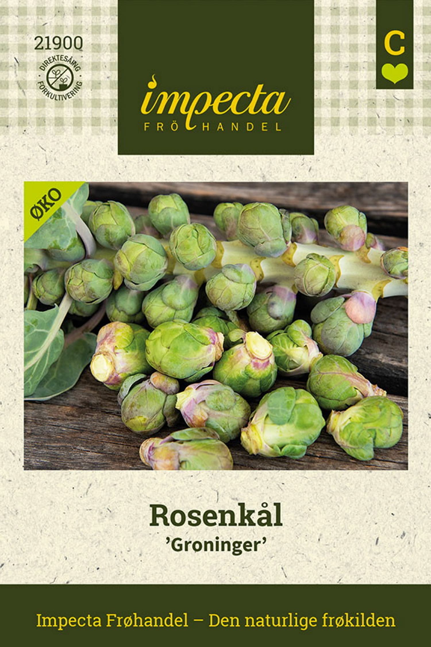 Rosenkål 'Groninger'