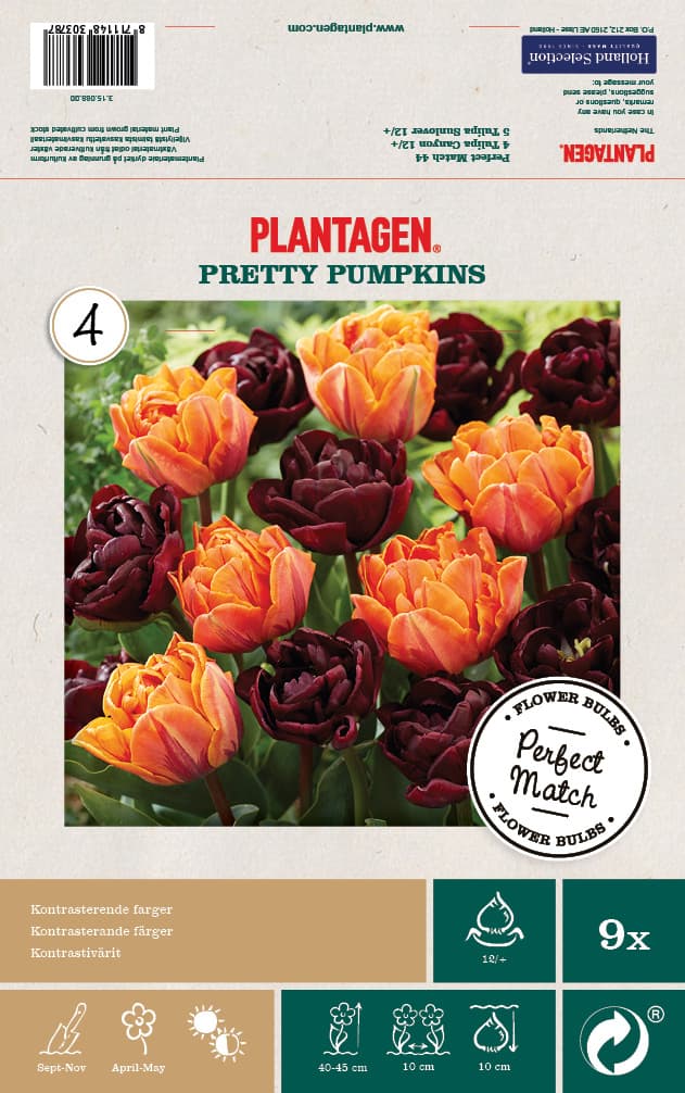 Tulipanmiks Pretty Pumpkins - 9 stk
