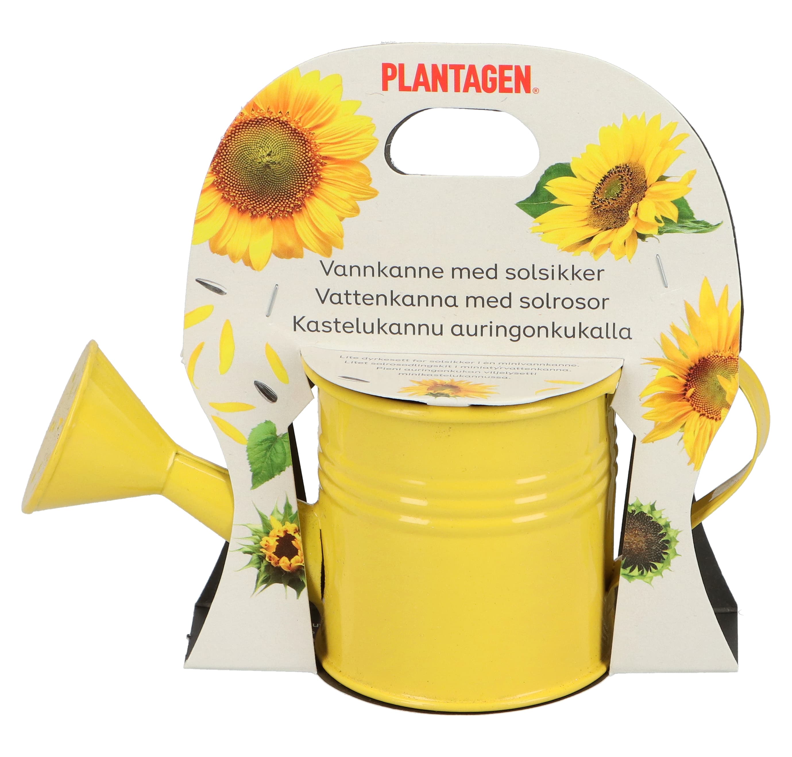 Minipotte med jord og minisolsikkefrø