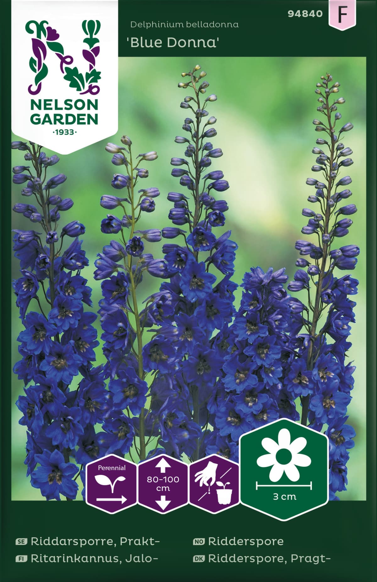 Praktridderspore 'Blue Donna'