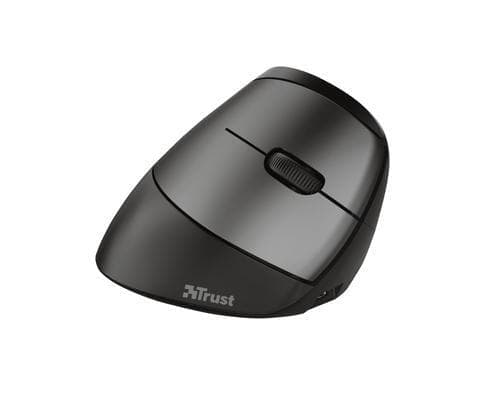 TRUST 24110 Mouse