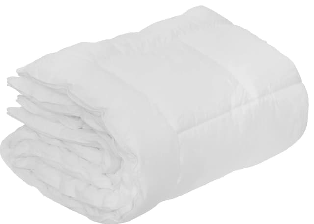 Edward dyne 46060076D