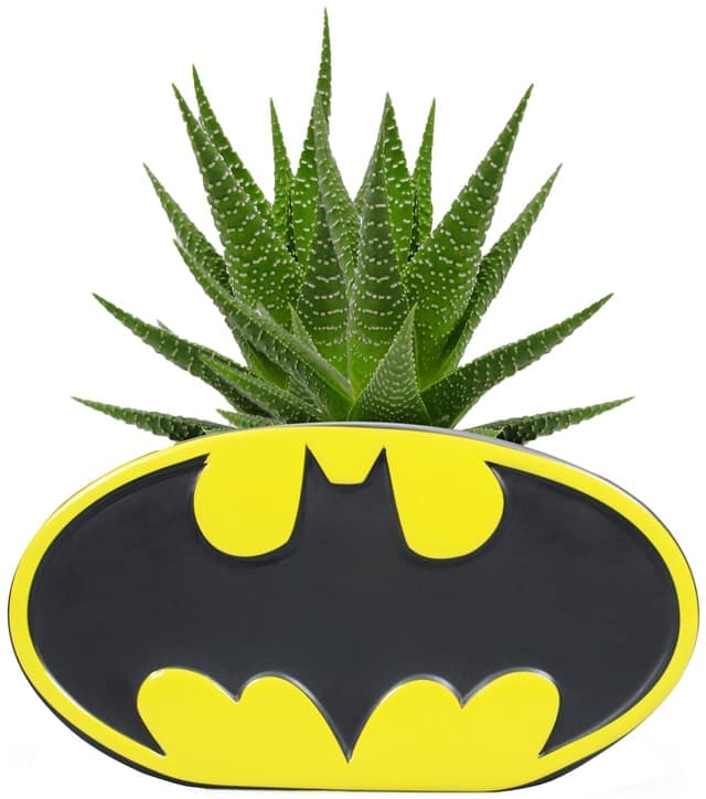 Play Batman blomsterpotte