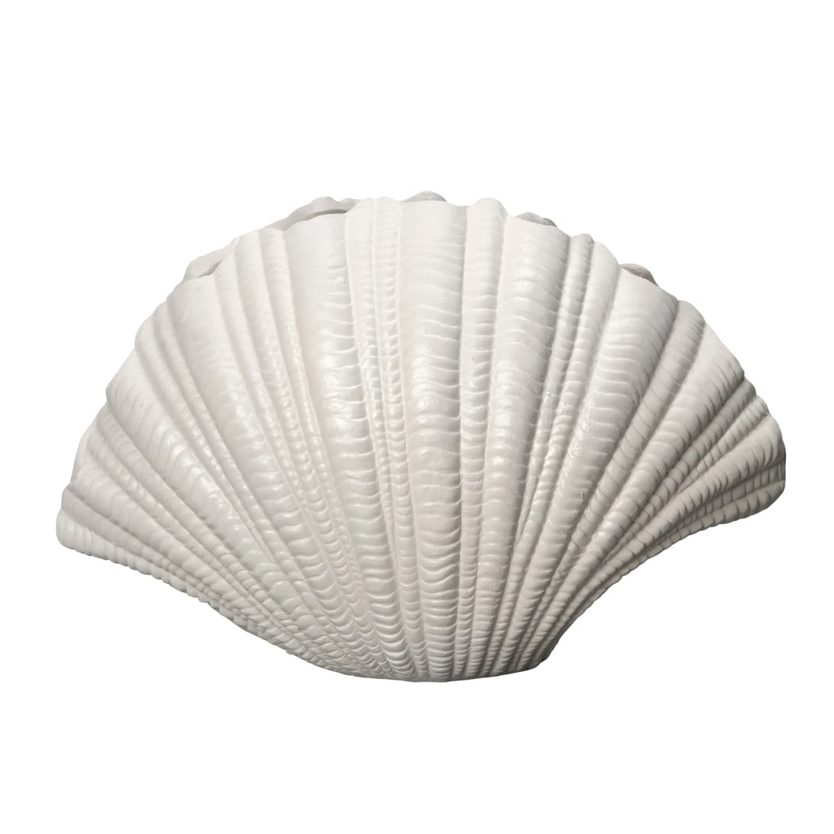Shell vase, Hvit