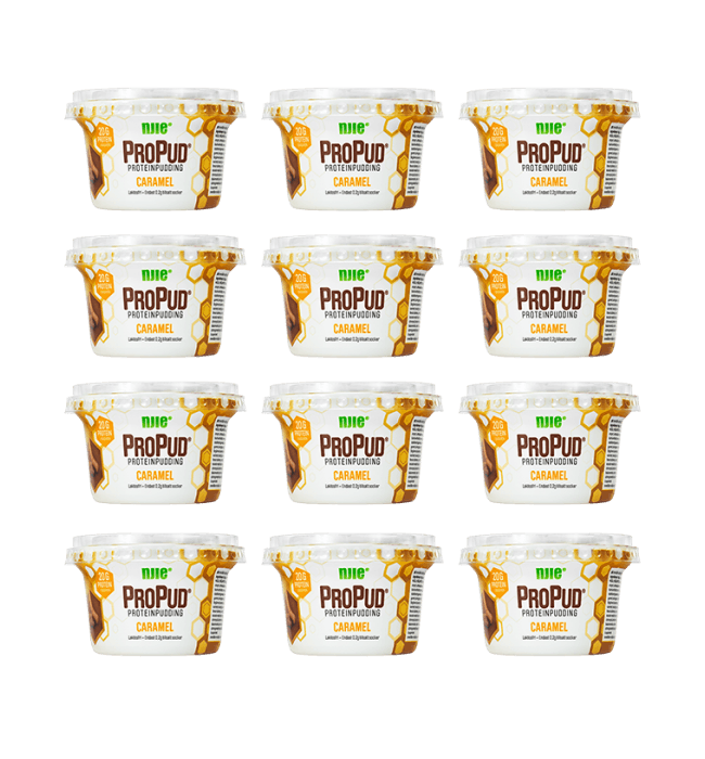 ProPud Karamell 12x200g