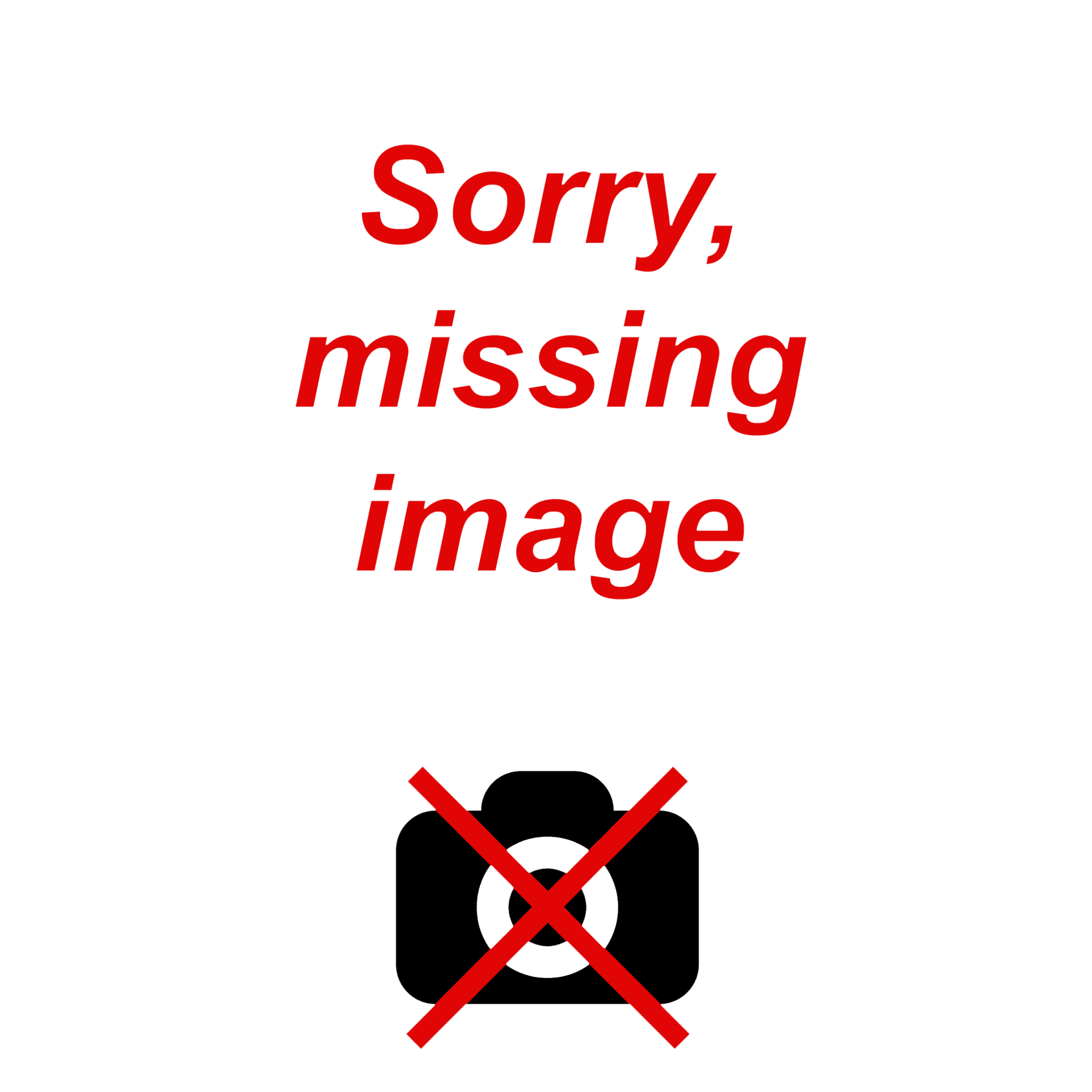 Battery lock for Steps Carrier battery mount