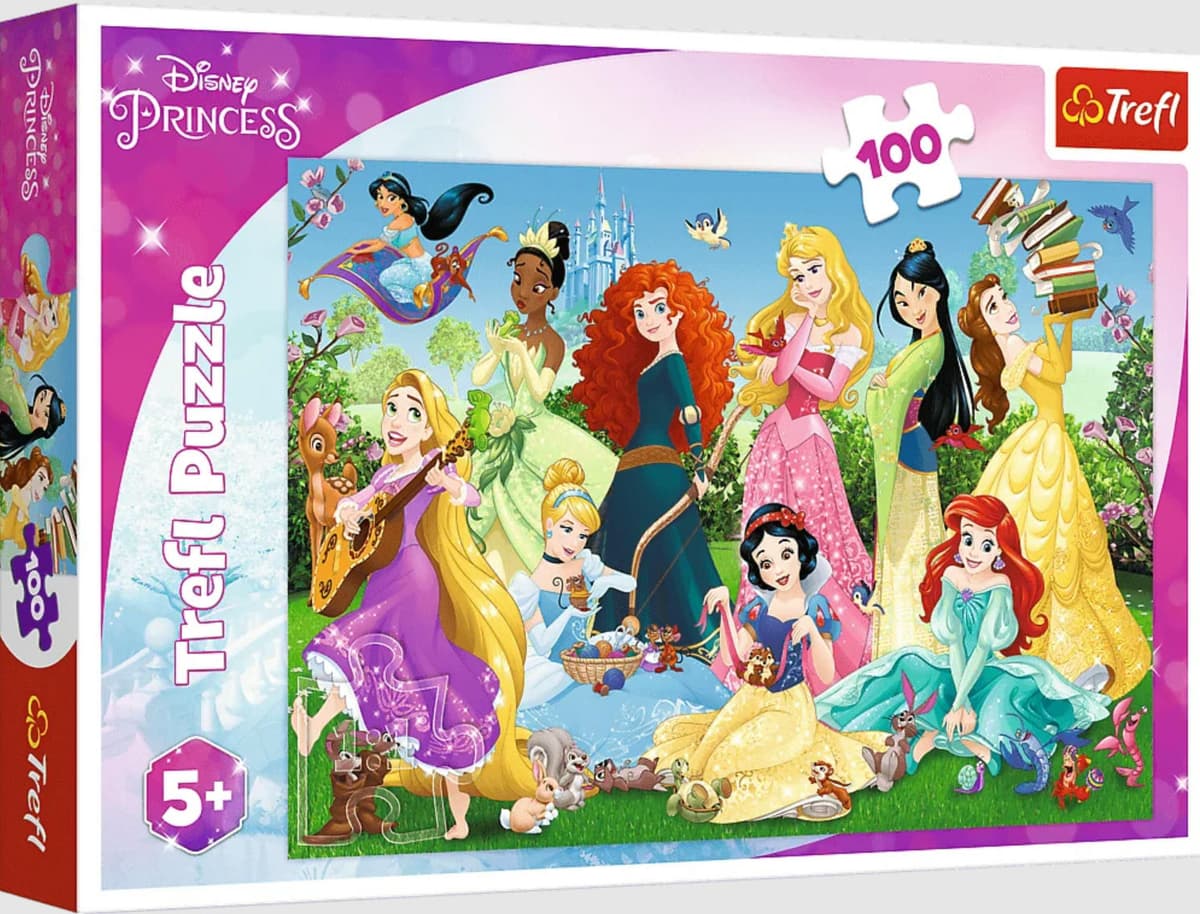 Charming Princesses Puzzle (100)