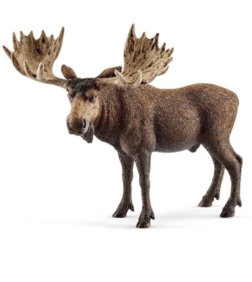 Schleich Wild Life elgokse 14781 - figur 10 cm høy