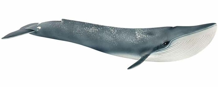 Schleich Wild Life Blåhval 14806 - figur 27 cm lang