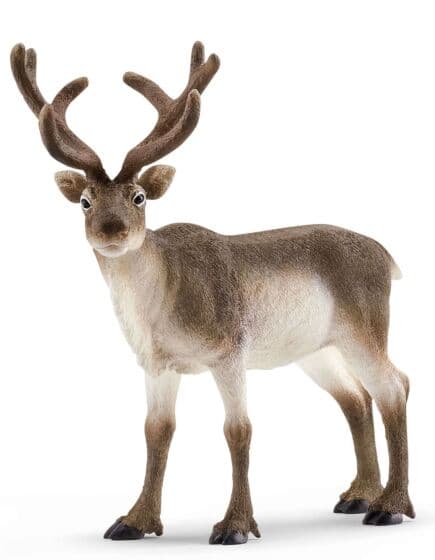 Schleich Wild Life Reinsdyr 14837 - figur 12 cm høy