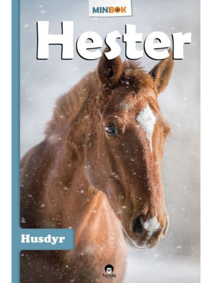 Hester – spennende bok full av fakta og historier om hester
