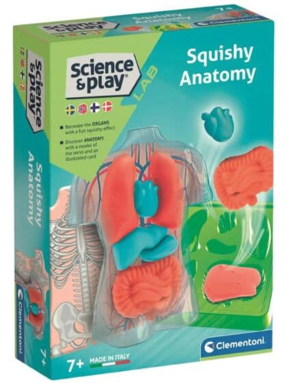 Clementoni Lab Squishy Organs vitenskapssett