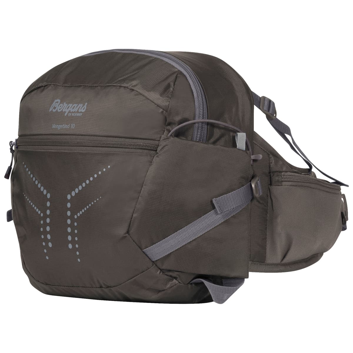 Vengetind Hip Pack 10