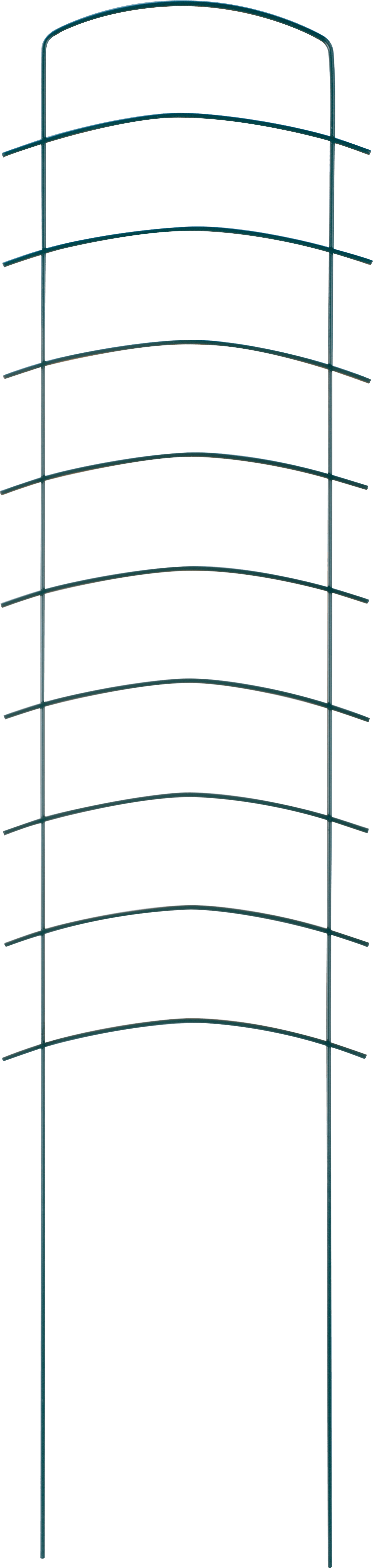 Espalier Ortus