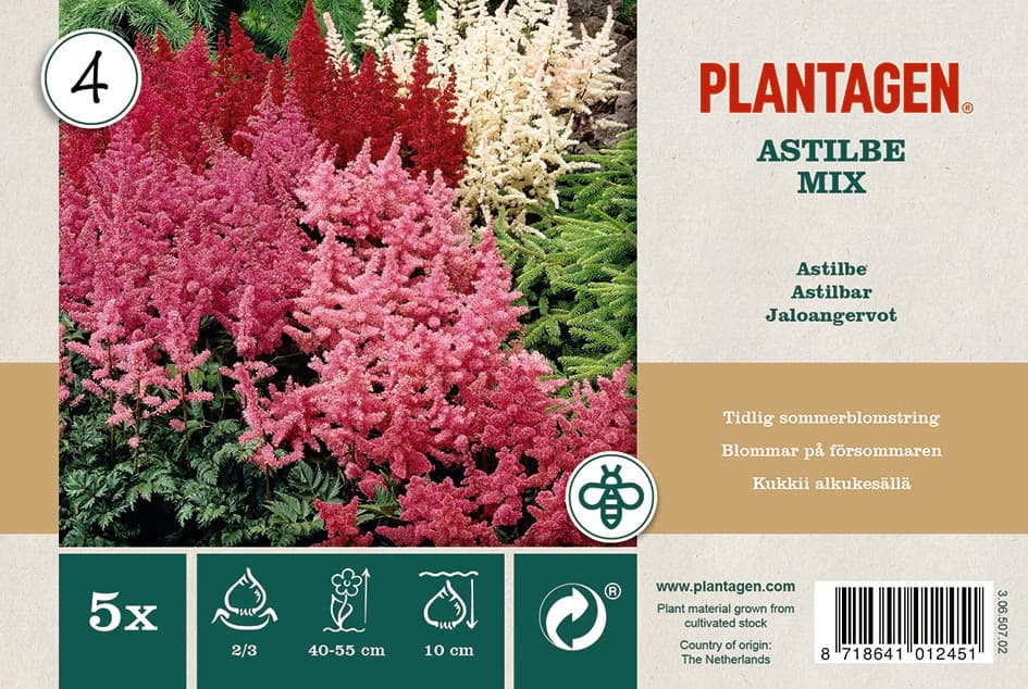 Astilbe Miks