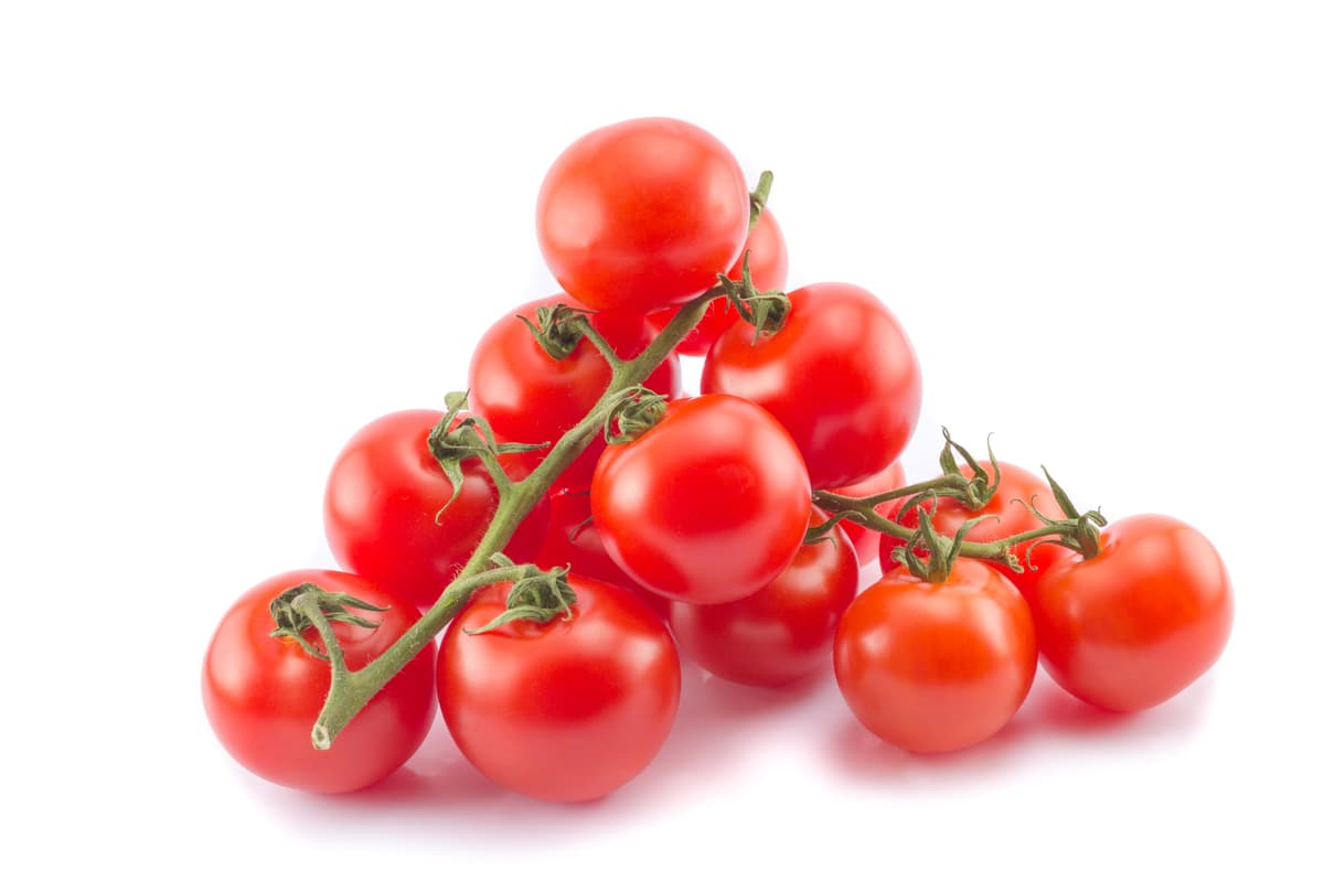 Cherrytomat ‘Cerise’