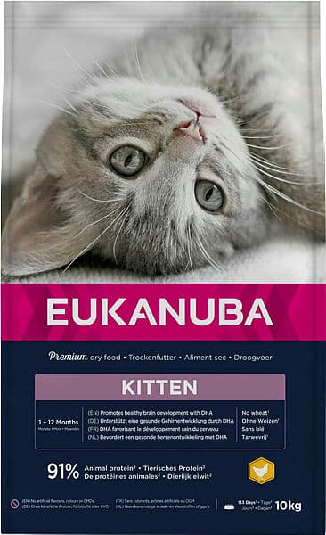 Kitten Healthy Start