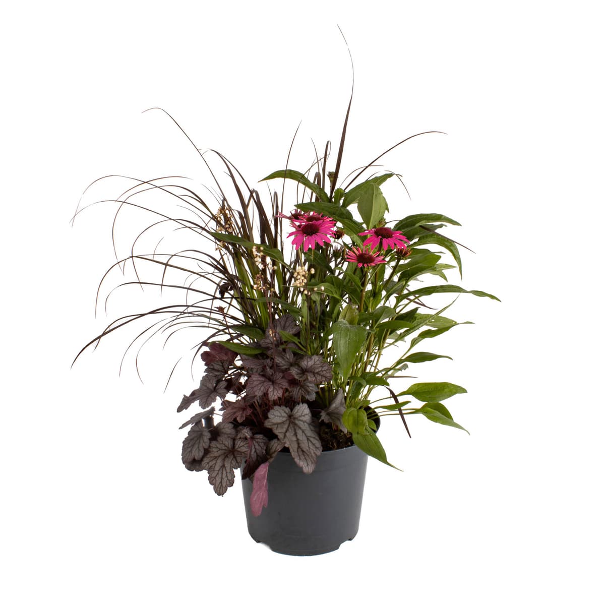 Samplanting Triple Beauty Stockholm