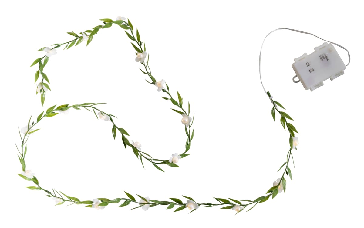 Lyslenke Med Blomster