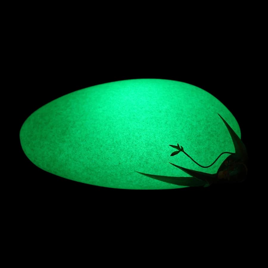 Eletra 40Cm LED Solar stein