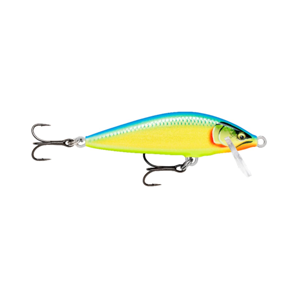 CountDown Elite 5,5cm GDPRT