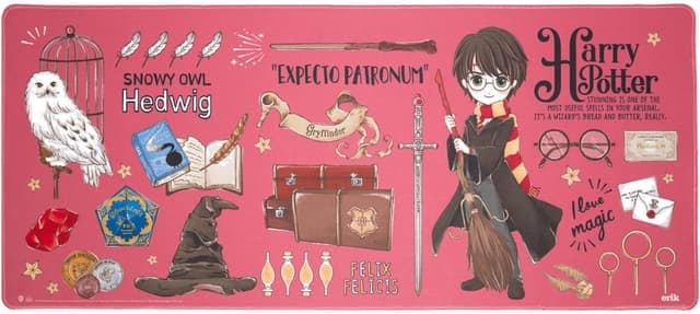 Grupo Erik Harry Potter musematte