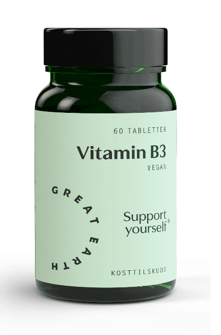 Great Earth Vitamin B3 60 stk