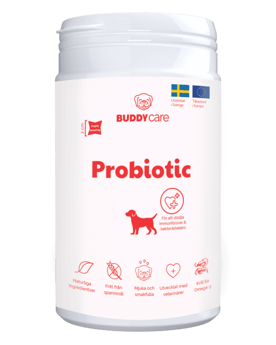 Buddy Pet Foods Probiotic kosttilskudd til hund 150 g