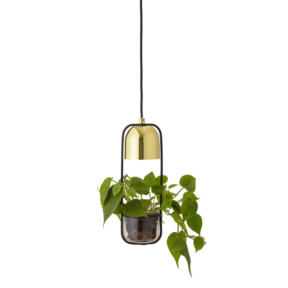 Bloomingville taklampe og ampel Ø10 cm, klar-gull