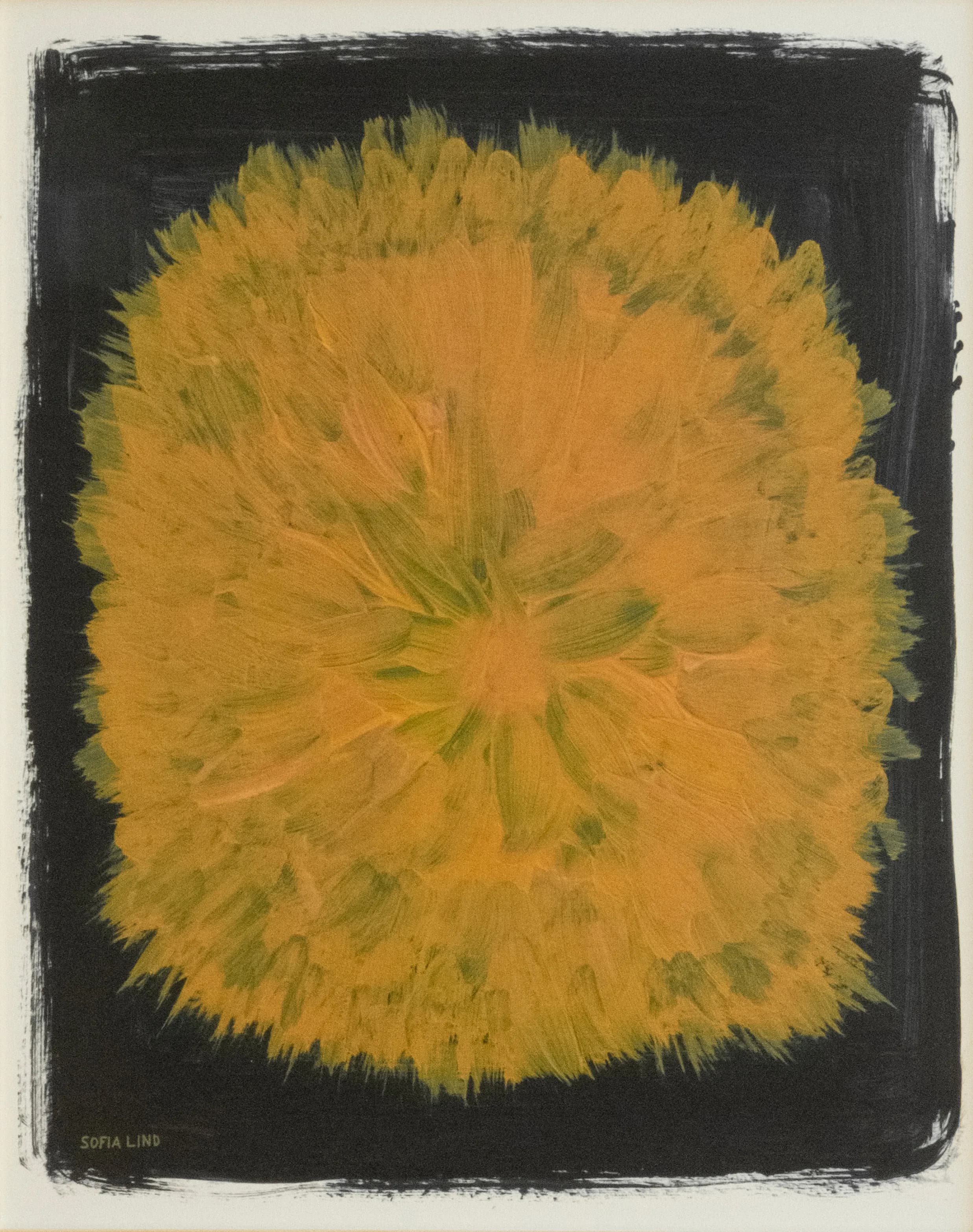 Dandelion plakat 40 x 50 cm, Gul-sort