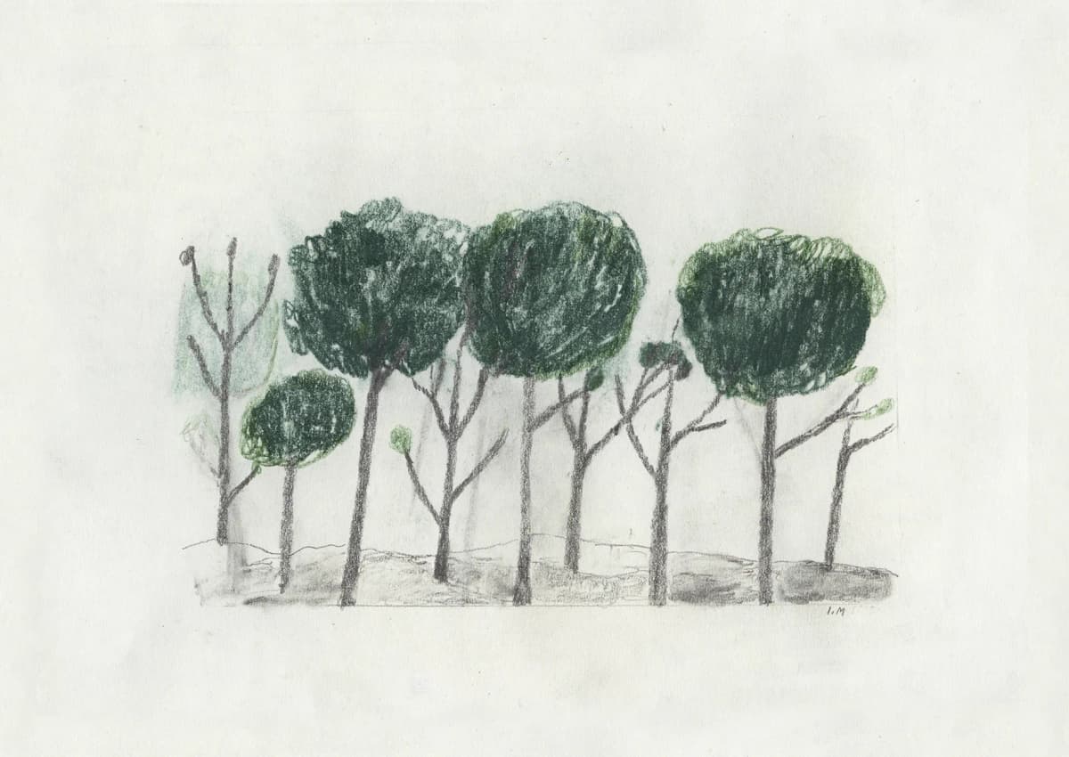 Trees plakat 50 x 70 cm, Sort-offwhite
